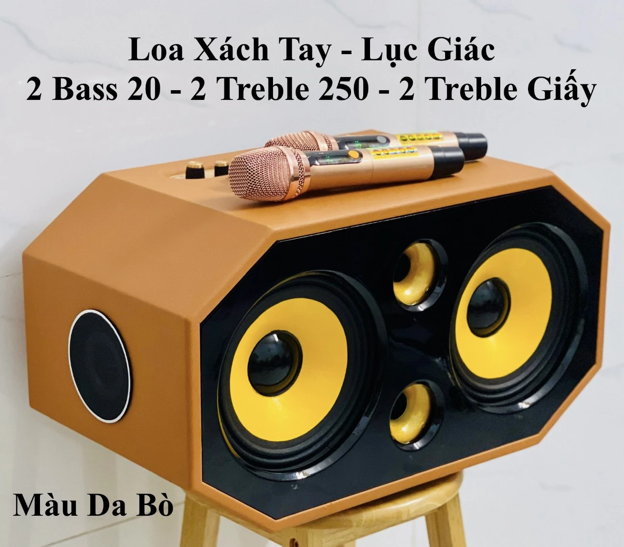 Loa Mini xách tay 2 Bass 2 trung HQ lục giác